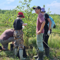 Квест-игра "Сокровища старого агронома" - Агротуризм в Григорьевских садах