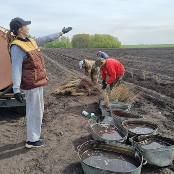 Семейная экскурсия "Почувствуй себя агрономом" - Агротуризм в Григорьевских садах