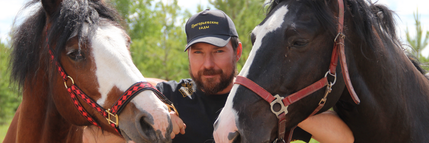 Конные прогулки