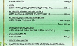 Старт продаж саженцев - Агротуризм в Григорьевских садах